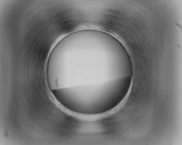 X0000095550864200801111452