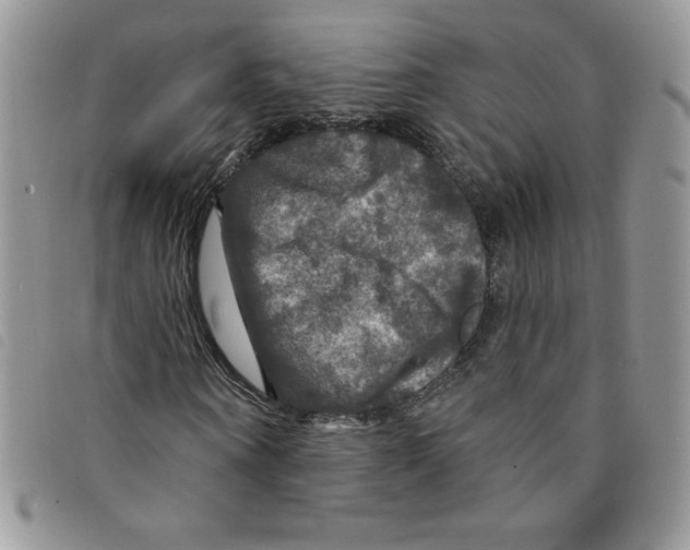 X0000095550866200801111451