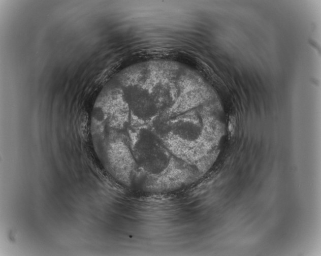 X0000095550867200801111451