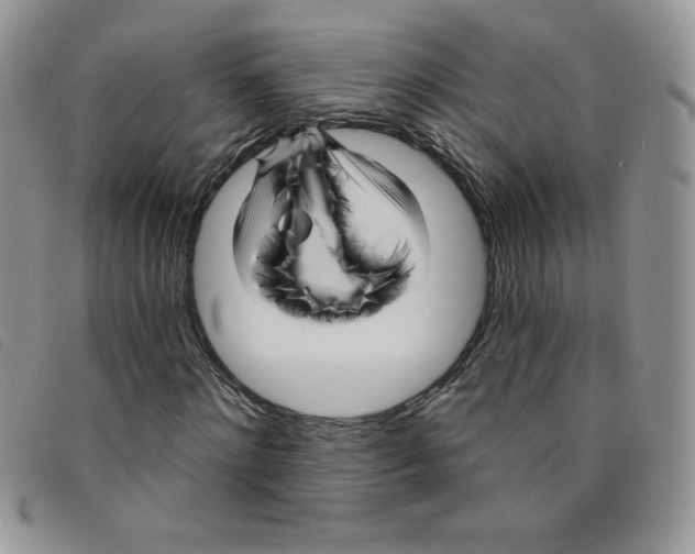 X0000095550868200801111451