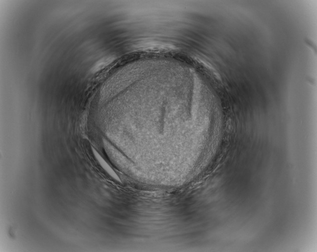 X0000095550869200801111451