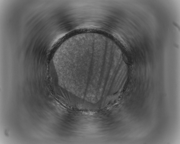 X0000095550872200801111451