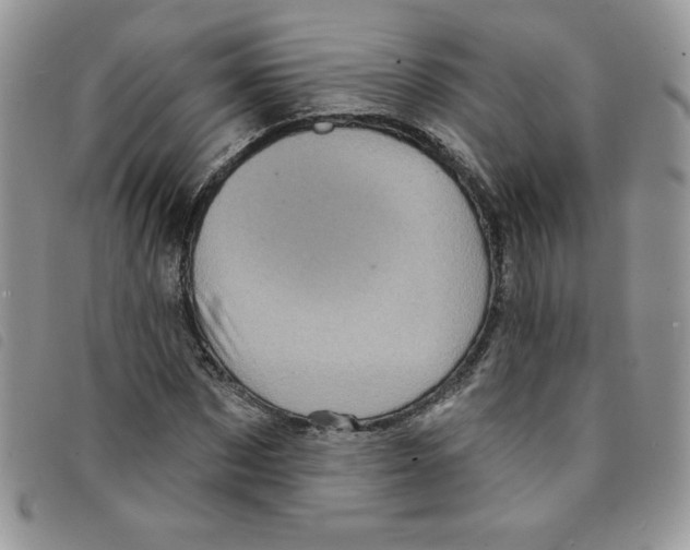 X0000095550873200801111451