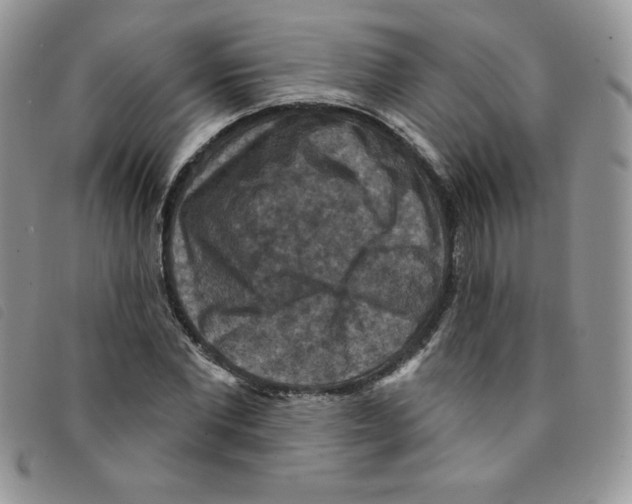 X0000095550877200801111451