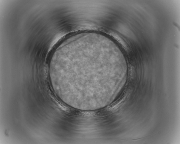 X0000095550878200801111451