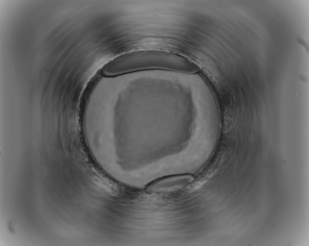 X0000095550880200801111451