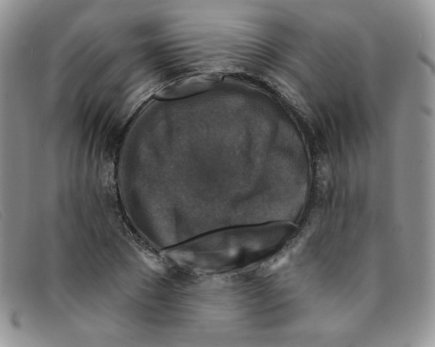 X0000095550881200801111451