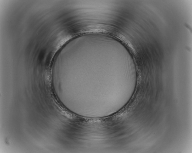 X0000095550882200801111451