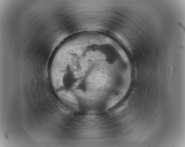 X0000095550883200801111451