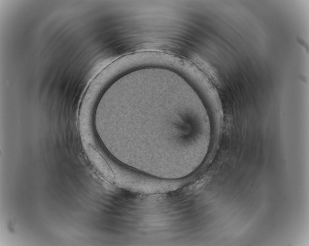 X0000095550884200801111451