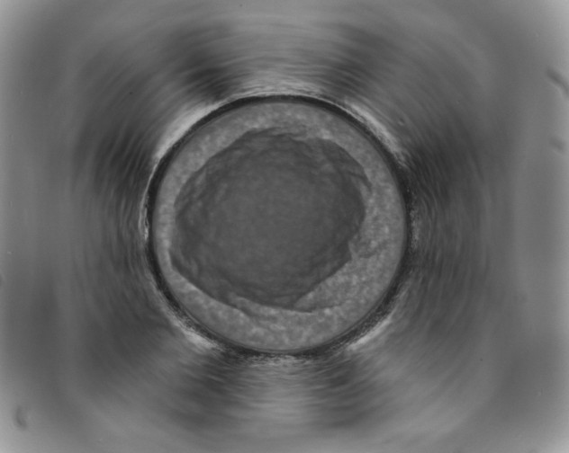 X0000095550885200801111451