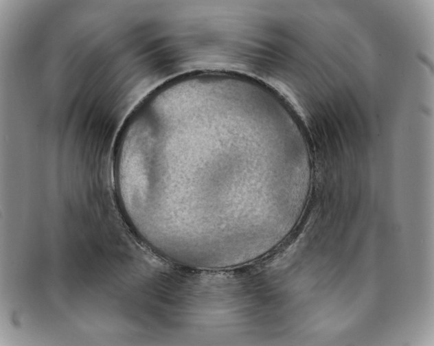 X0000095550887200801111451