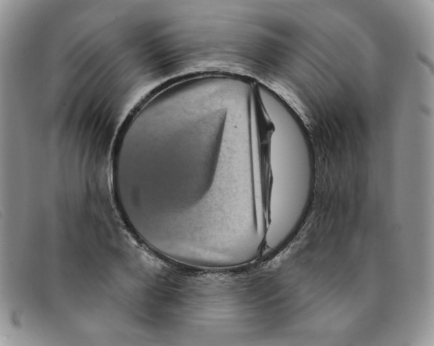 X0000095550888200801111451