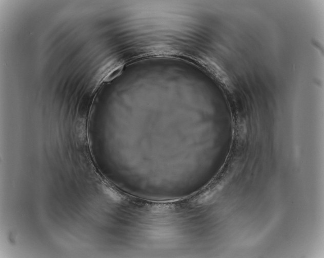 X0000095550889200801111451