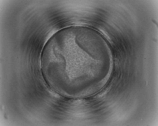 X0000095550891200801111451