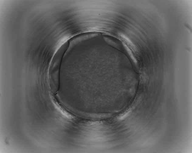 X0000095550892200801111451