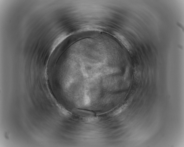 X0000095550893200801111451