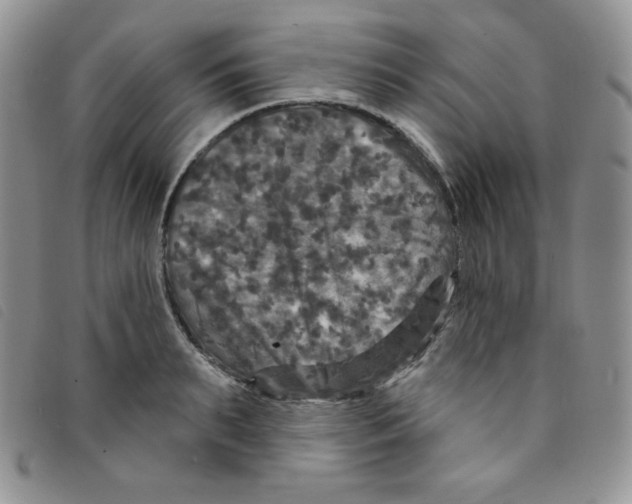 X0000095550895200801111451