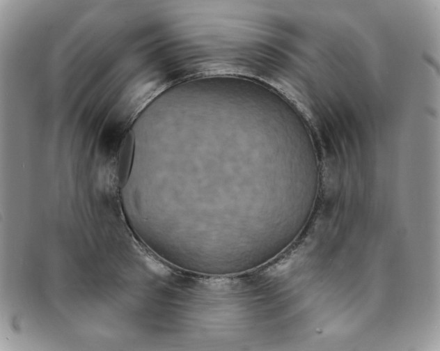 X0000095550897200801111451