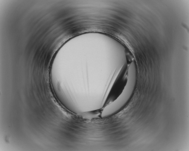 X0000095550898200801111451