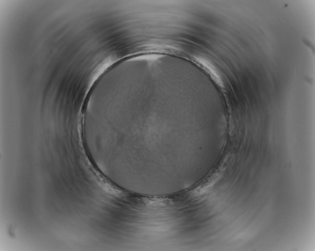 X0000095550899200801111451