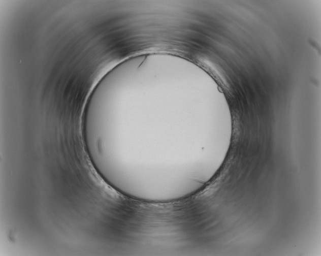 X0000095550900200801111451