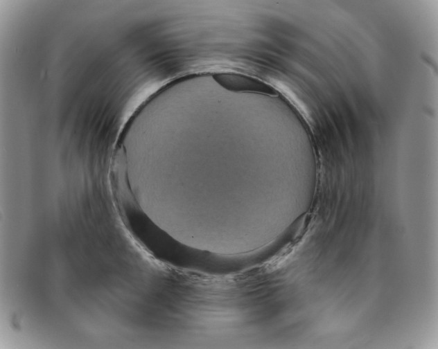 X0000095550901200801111451