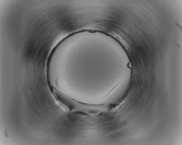 X0000095550902200801111451