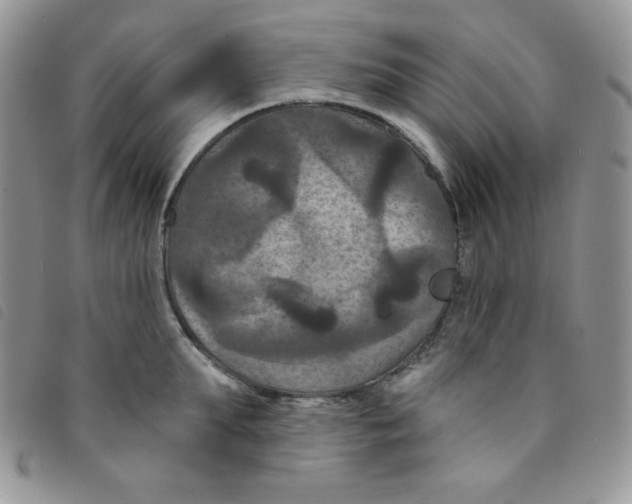 X0000095550903200801111451