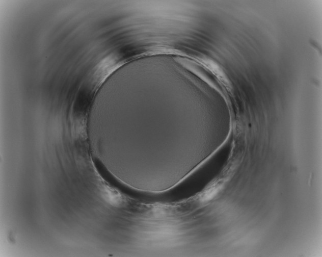 X0000095550905200801111451