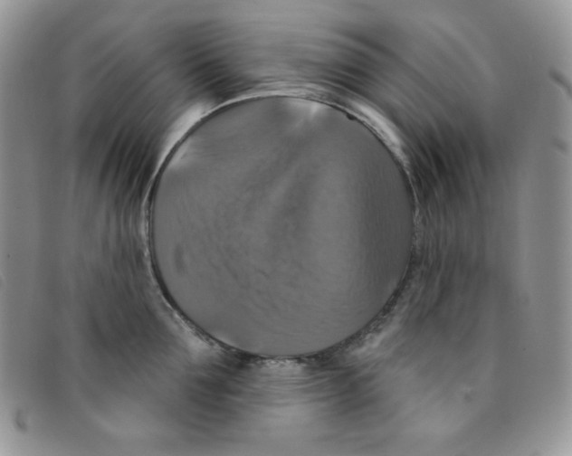 X0000095550907200801111451