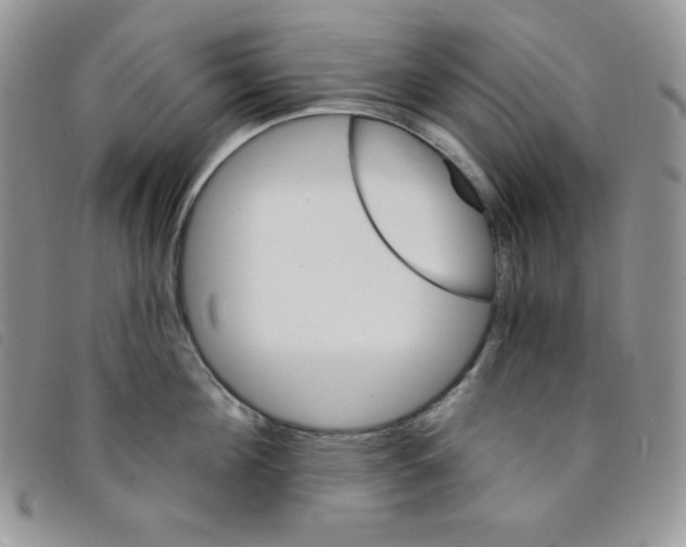 X0000095550908200801111451