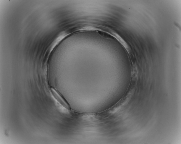 X0000095550909200801111451