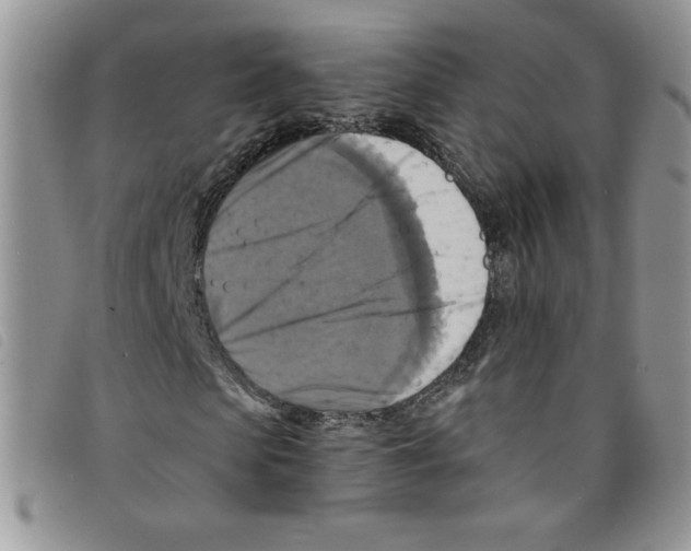 X0000095550913200801111450