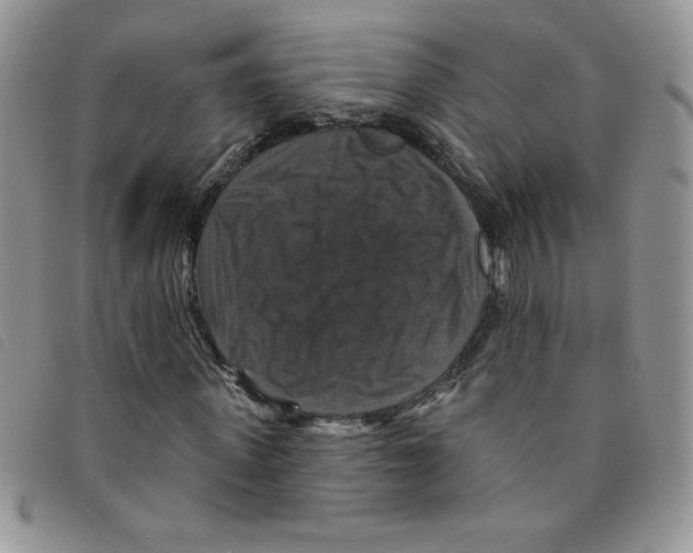 X0000095550915200801111450