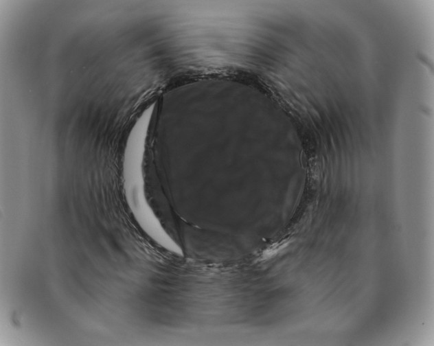 X0000095550916200801111450