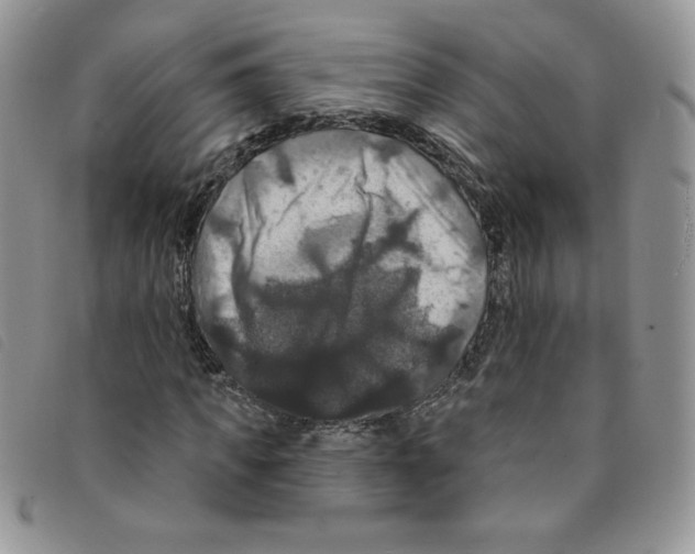 X0000095550917200801111450