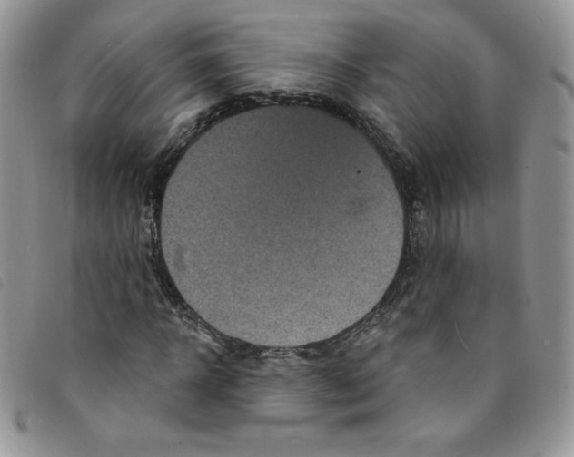 X0000095550918200801111450