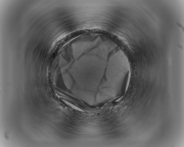 X0000095550920200801111450