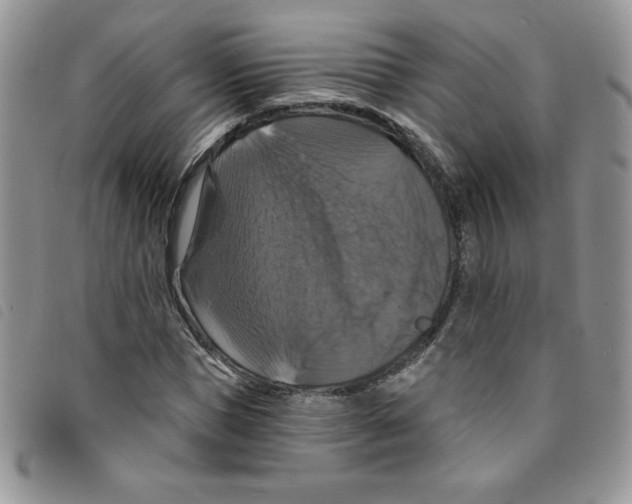 X0000095550921200801111450