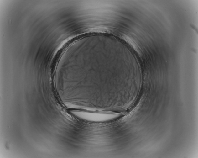 X0000095550923200801111450