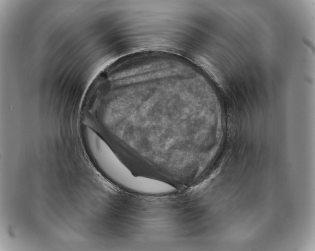 X0000095550924200801111450