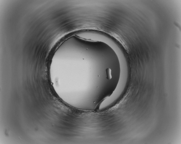 X0000095550926200801111450