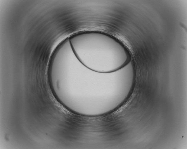 X0000095550928200801111450