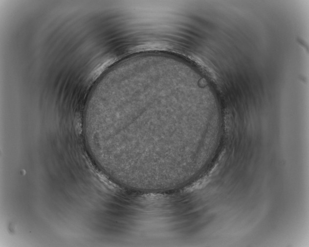 X0000095550929200801111450