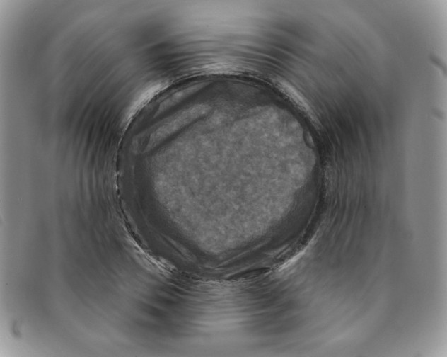 X0000095550930200801111450