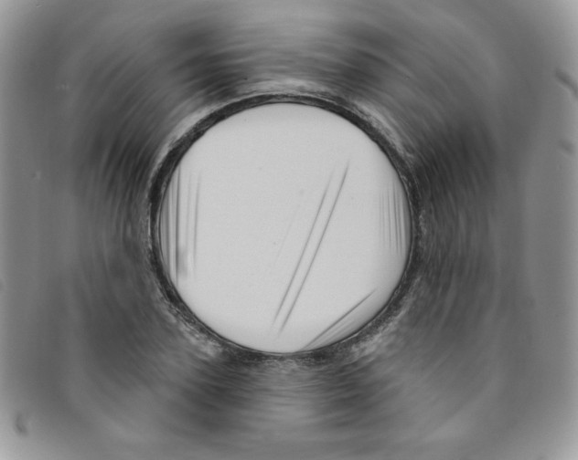 X0000095550931200801111450