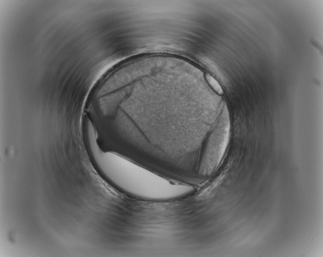 X0000095550932200801111450