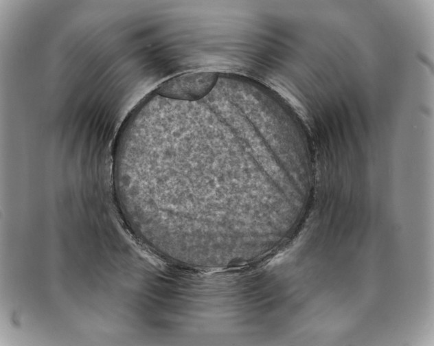 X0000095550933200801111450