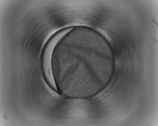 X0000095550934200801111450